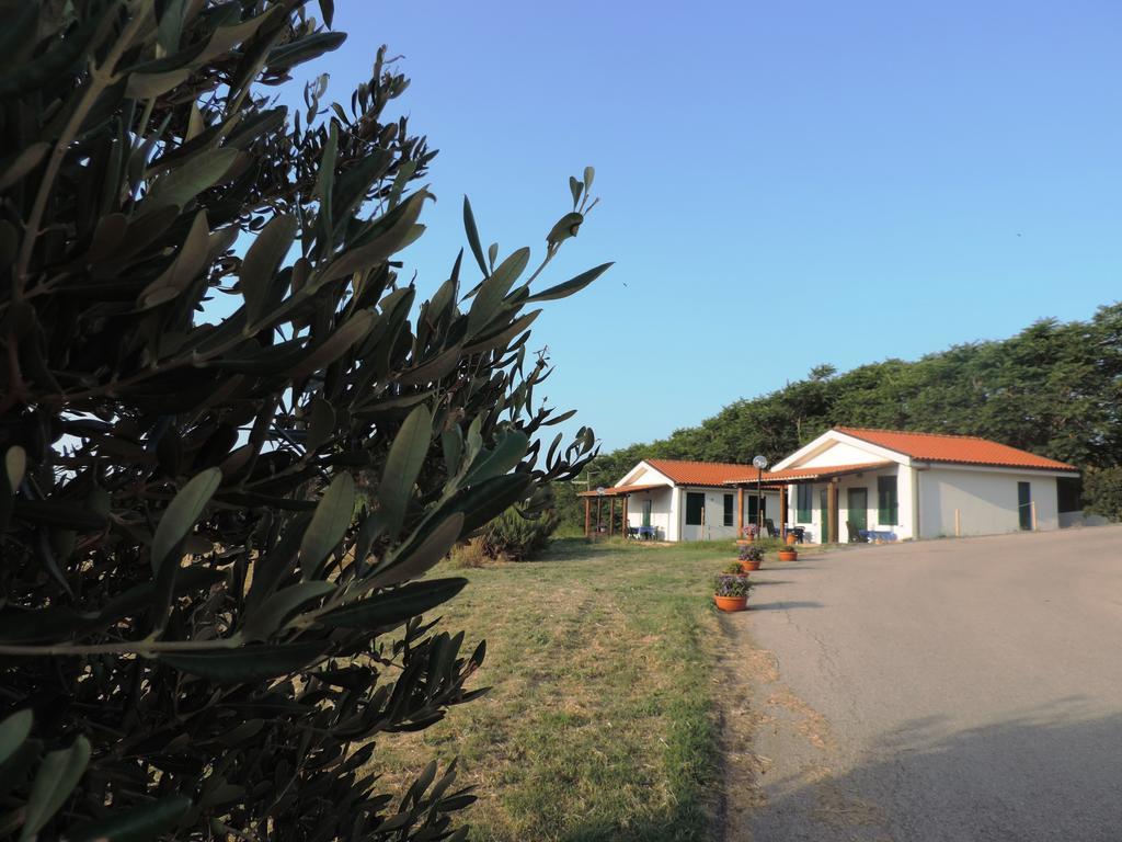 Agriturismo Sila Termoli Exterior foto
